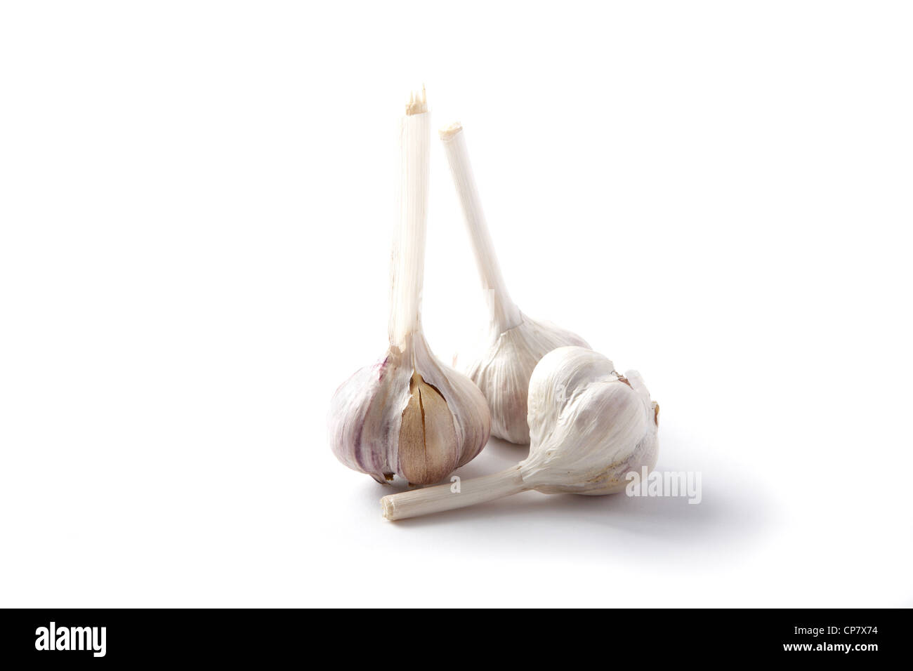 bunch garlic isolated on a white background Stock Photo