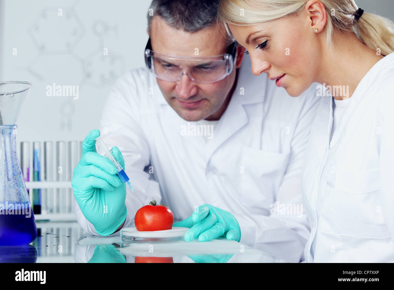 man and woman try to change tomato DNA Stock Photo