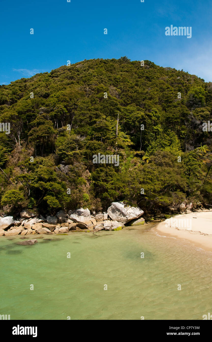 New Zealand South Island coast landscape at Abel Tasman National Park Stock Photo
