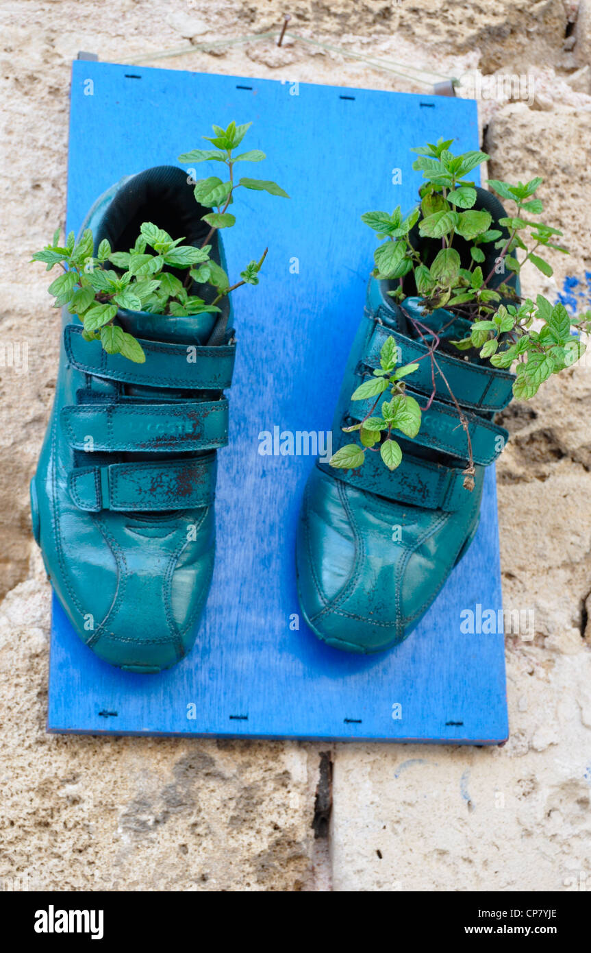 shoes as planters Stock Photo Alamy