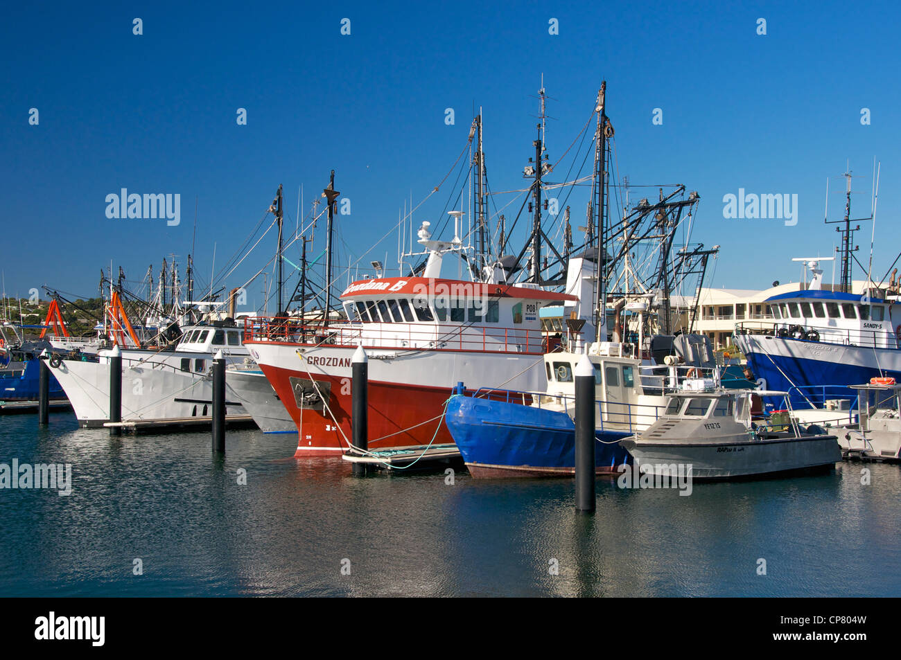 Southern Bluefin Tuna High Resolution Stock Photography And Images Alamy