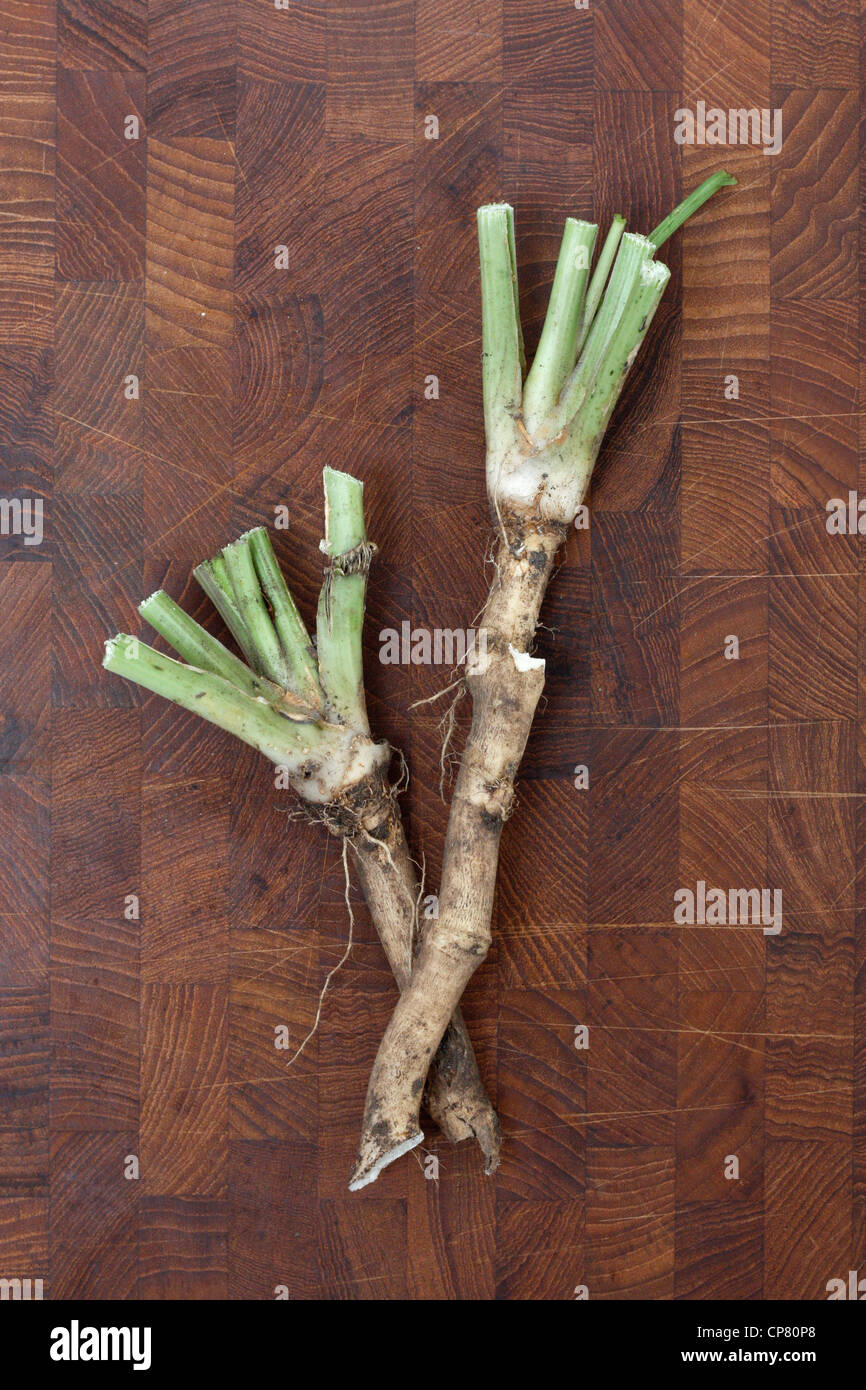 Two roots of horse radish Stock Photo