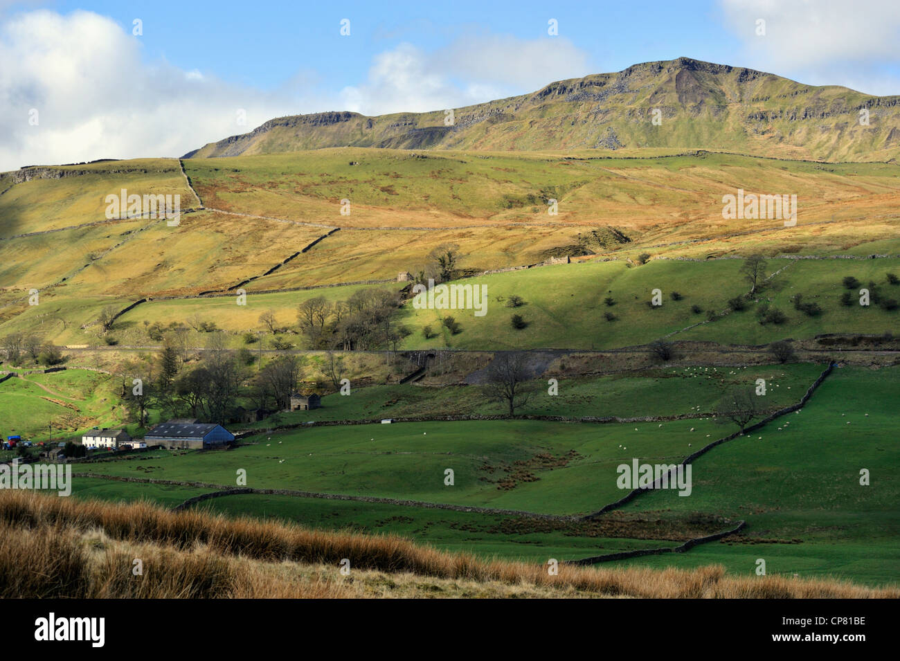 Hill Hall Farm, Swarth Fell and Wild Boar Fell. Mallerstang, Yorkshire Dales National Park, Cumbria, England, United Kingdom. Stock Photo