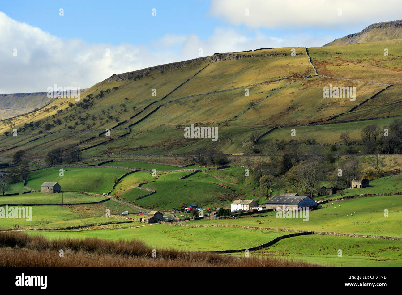 Hill Hall Farm and Swarth Fell. Mallerstang, Yorkshire Dales National Park, Cumbria, England, United Kingdom, Europe. Stock Photo