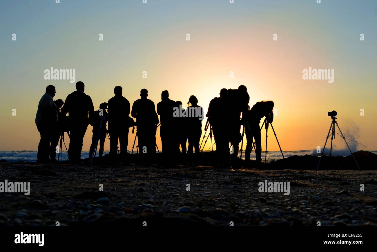 A group of photographers at sunset Stock Photo Alamy