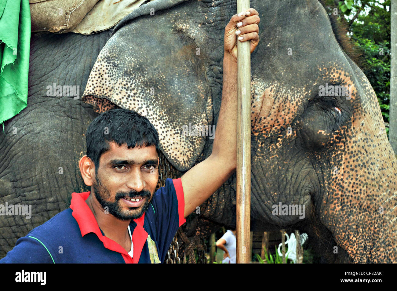 Sri Lanka, Negombo portrait of an elephant trainer Stock Photo