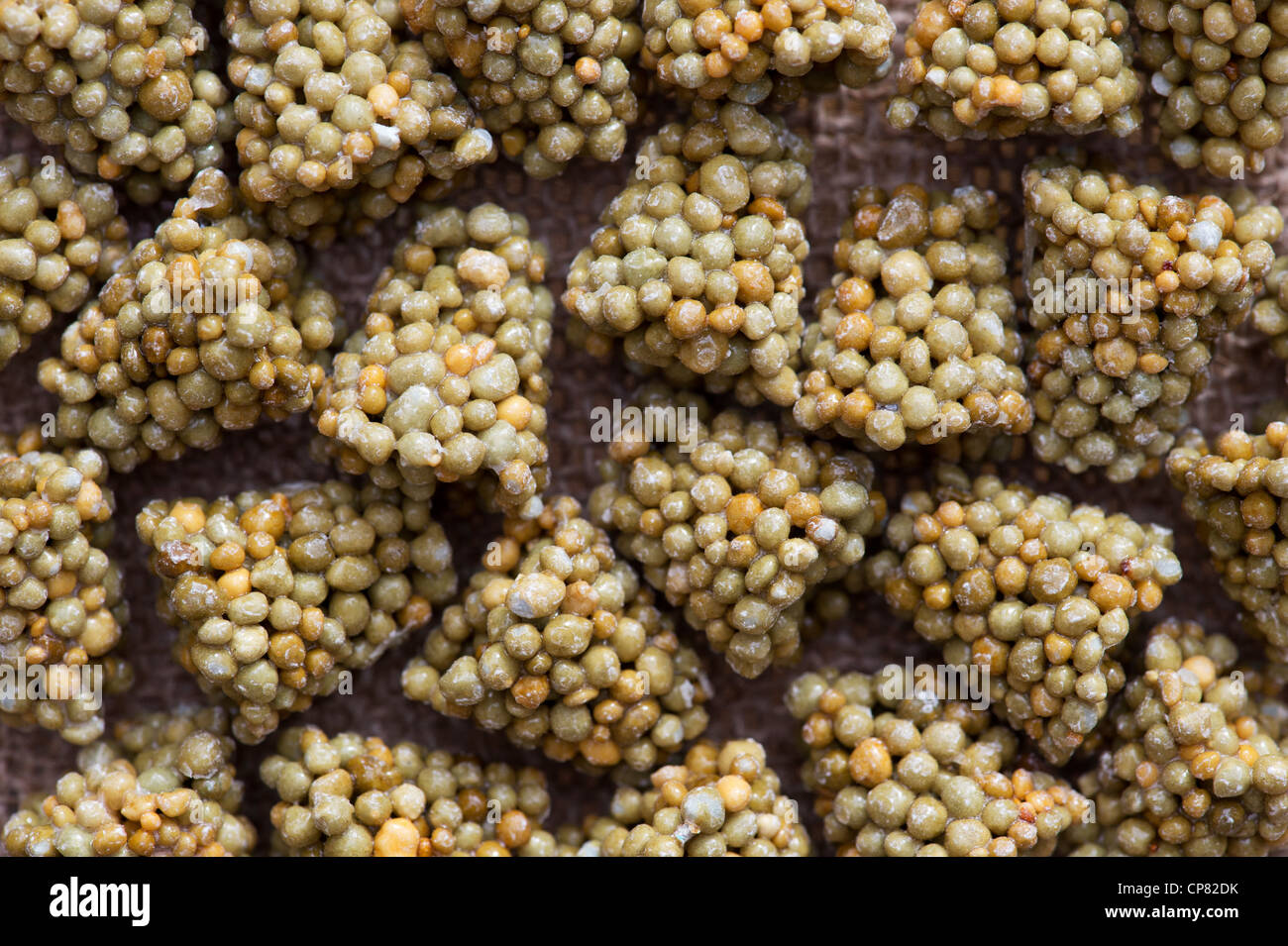 Slow release plant fertilizer granules Stock Photo