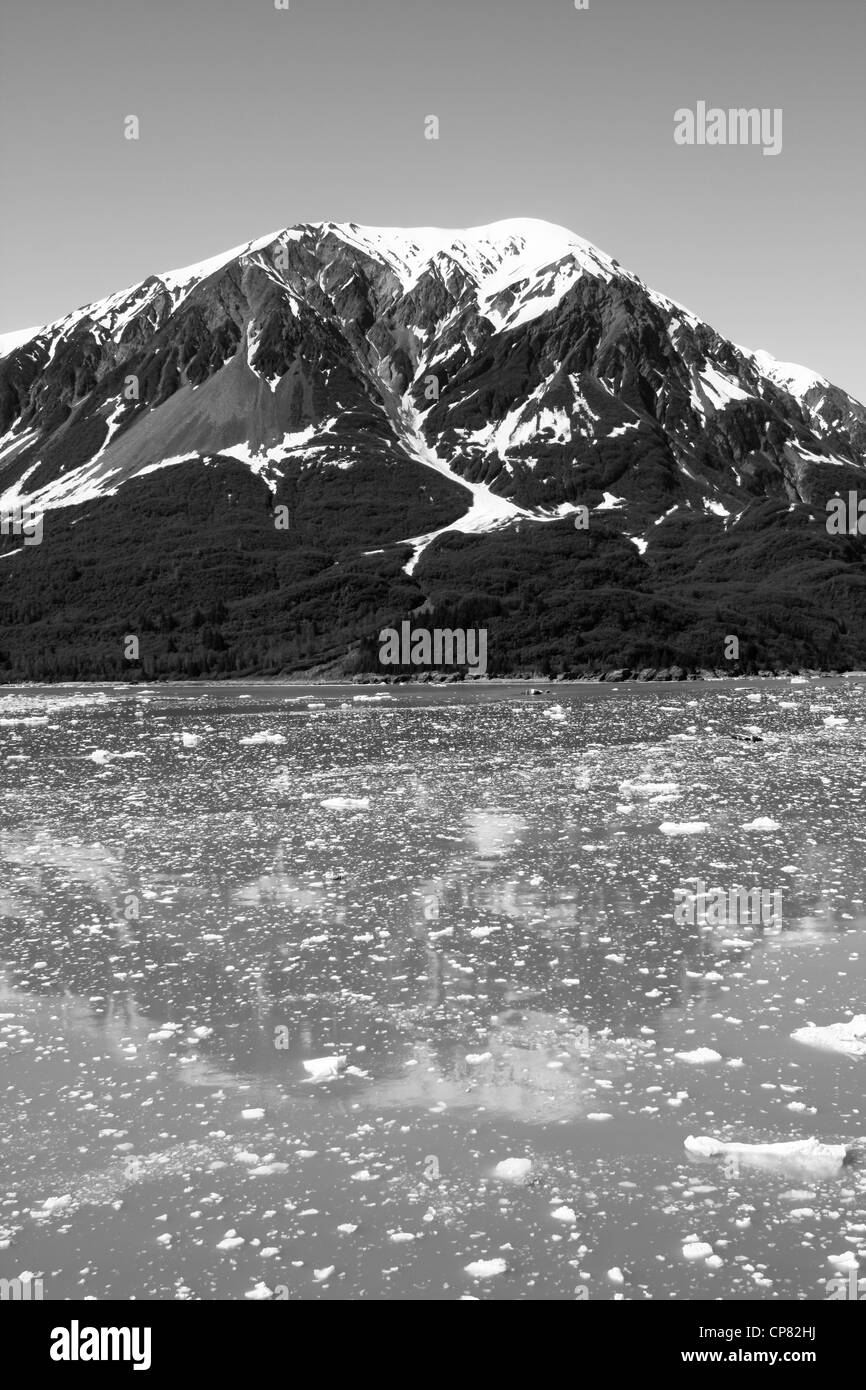 Alaska, USA, icy water near a glacier. In black and white Stock Photo