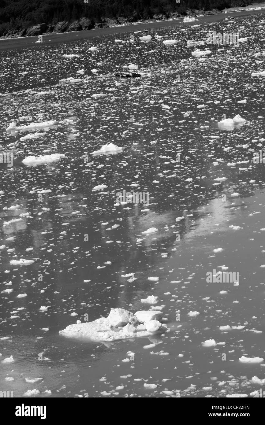 Alaska, USA, icy water near a glacier. In black and white Stock Photo