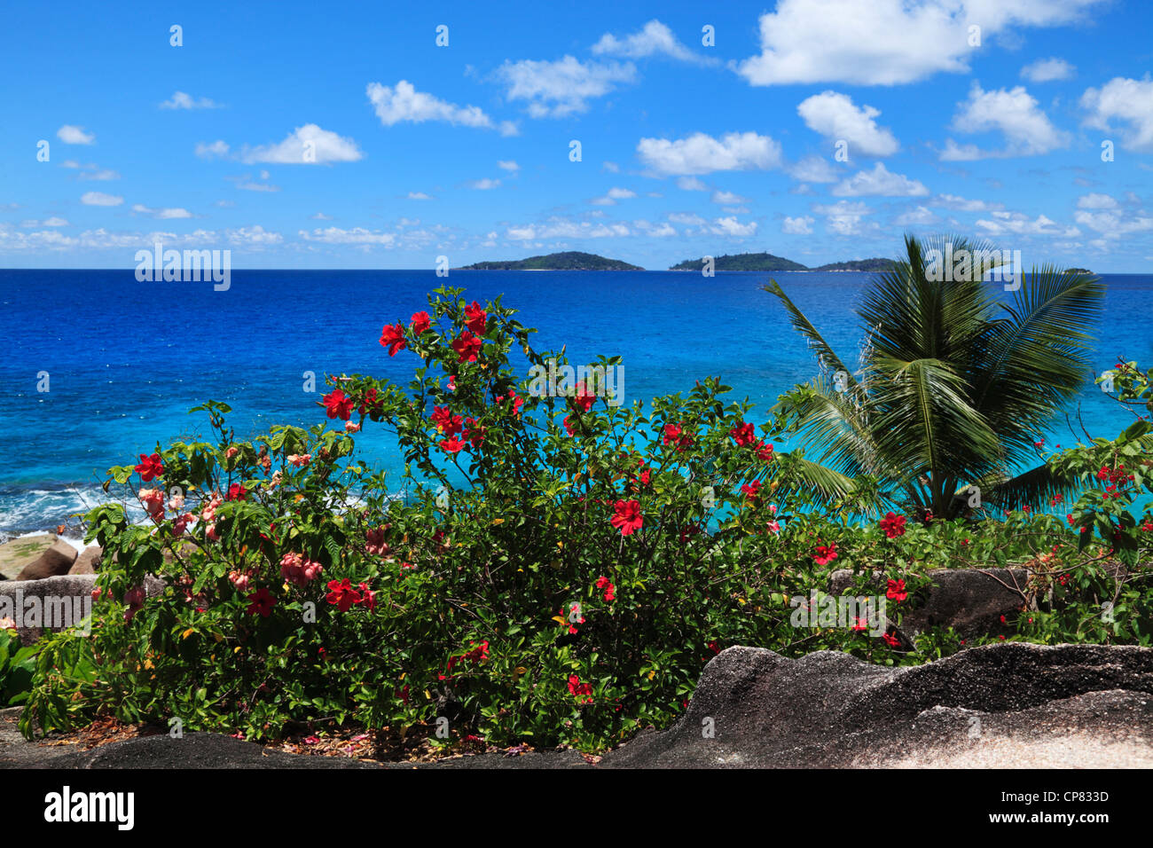 Tropical beauty of the Baie Ste Anne as seen from the north end of La