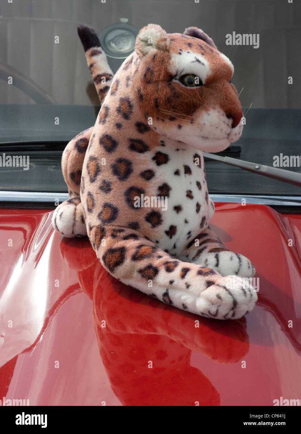 Soft-toy jaguar on bonnet of e-type Stock Photo