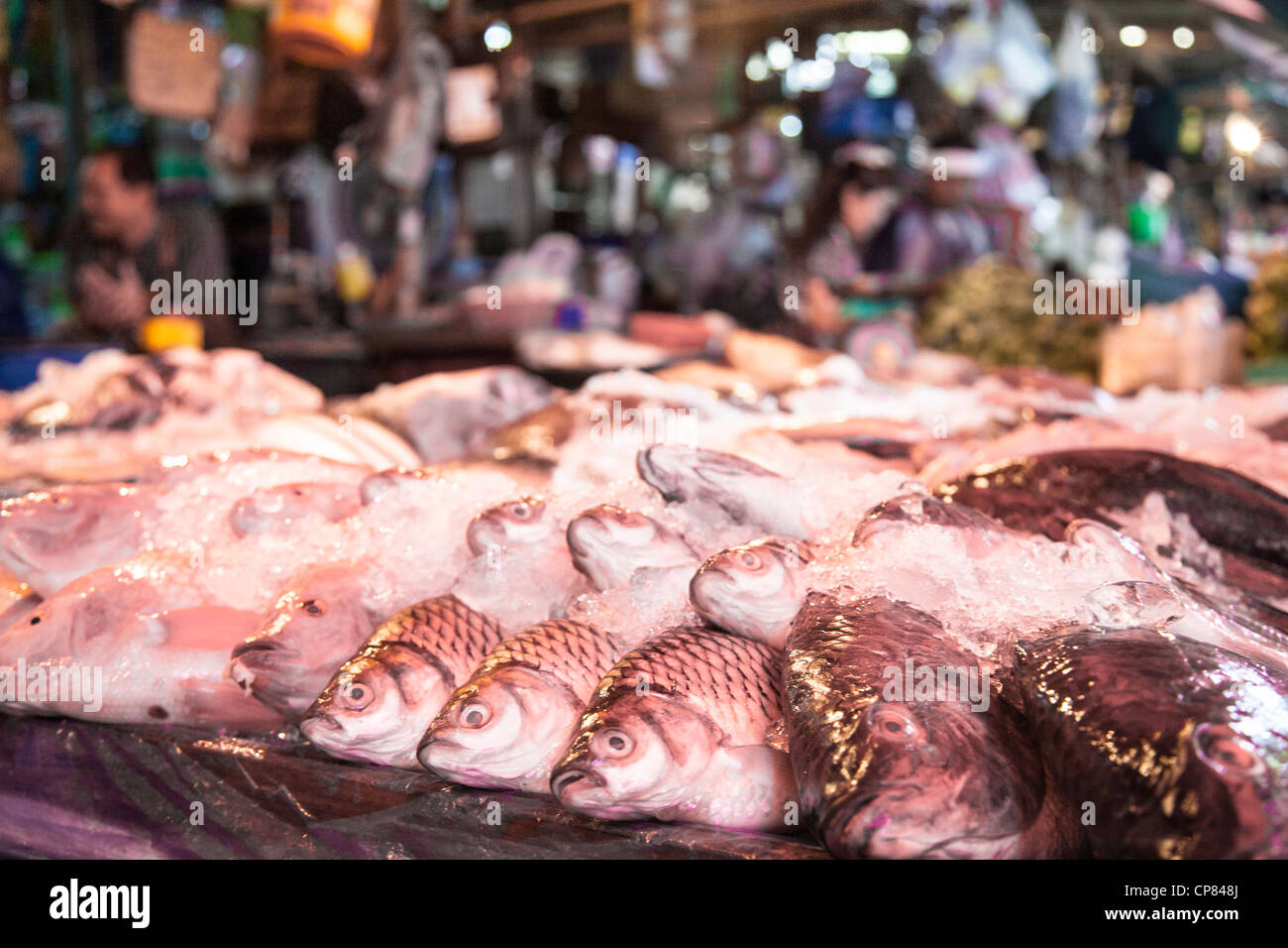 Fish in Khlong Toey market in Bangkok, Thailand Stock Photo