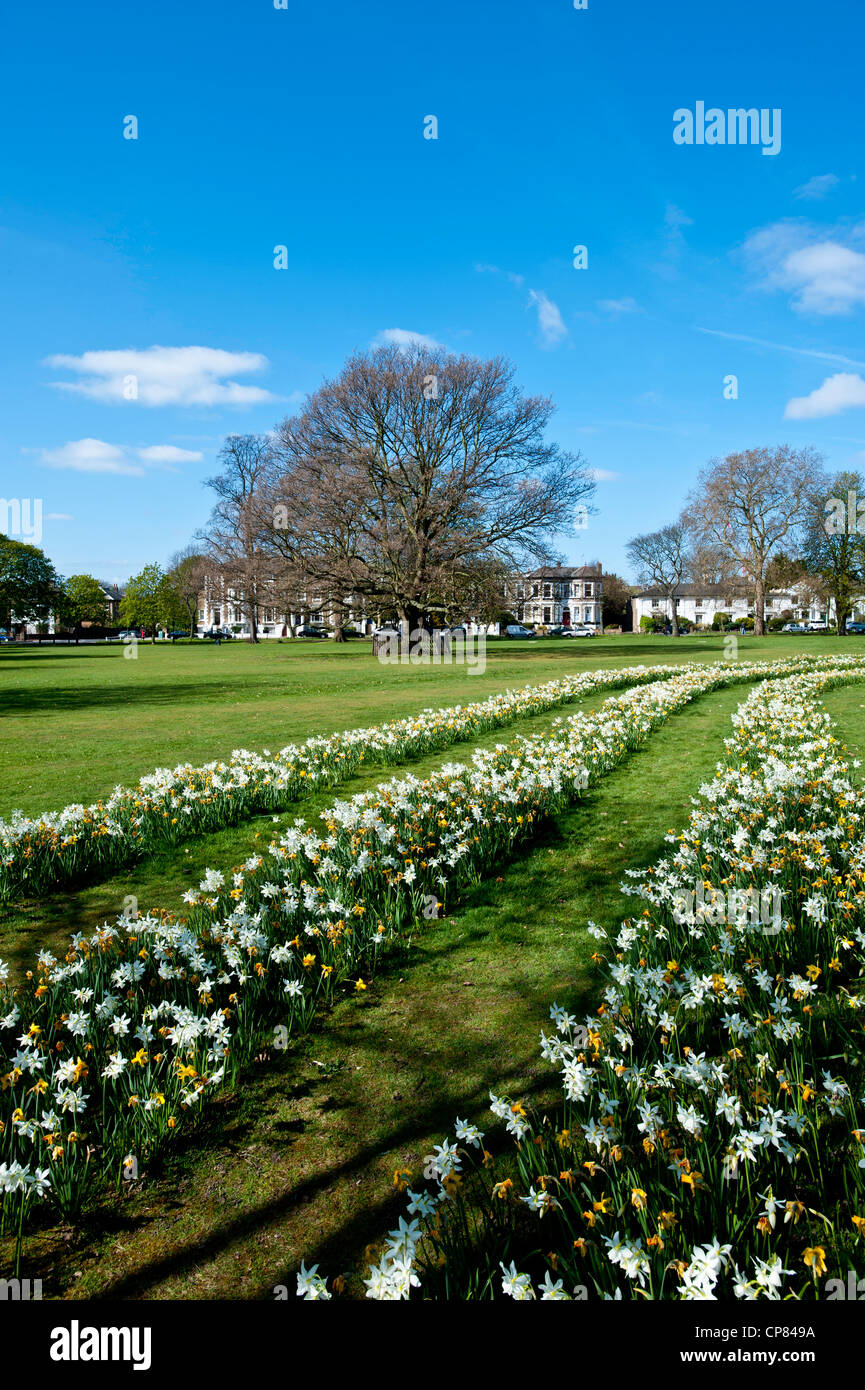 Spring england hi-res stock photography and images - Alamy