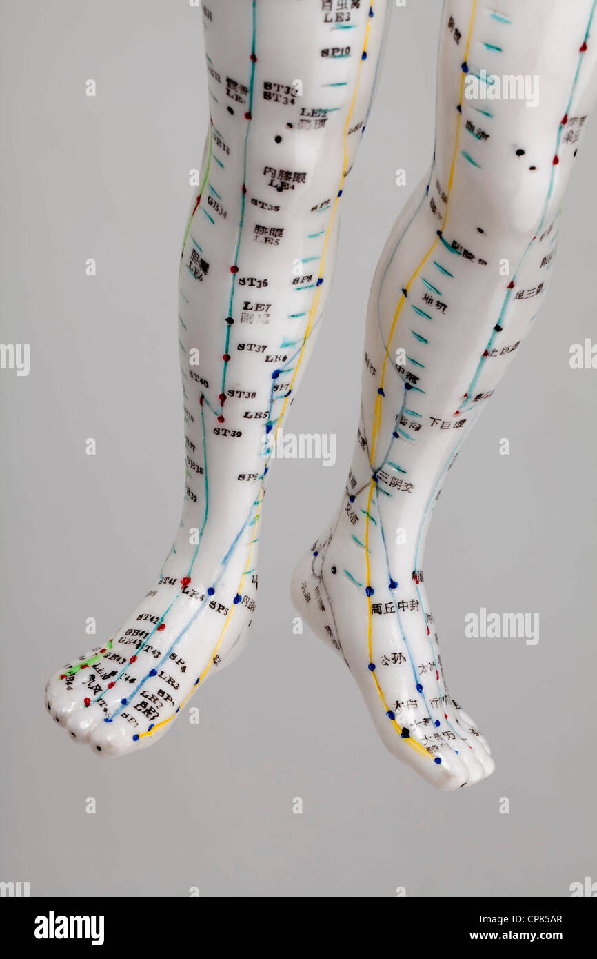 A female model with marked acupuncture points, Chinese characters on