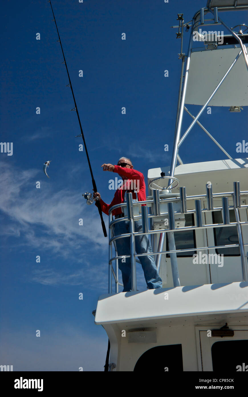 Skipper charter boat yacht command bridge tuna tower reaching for live