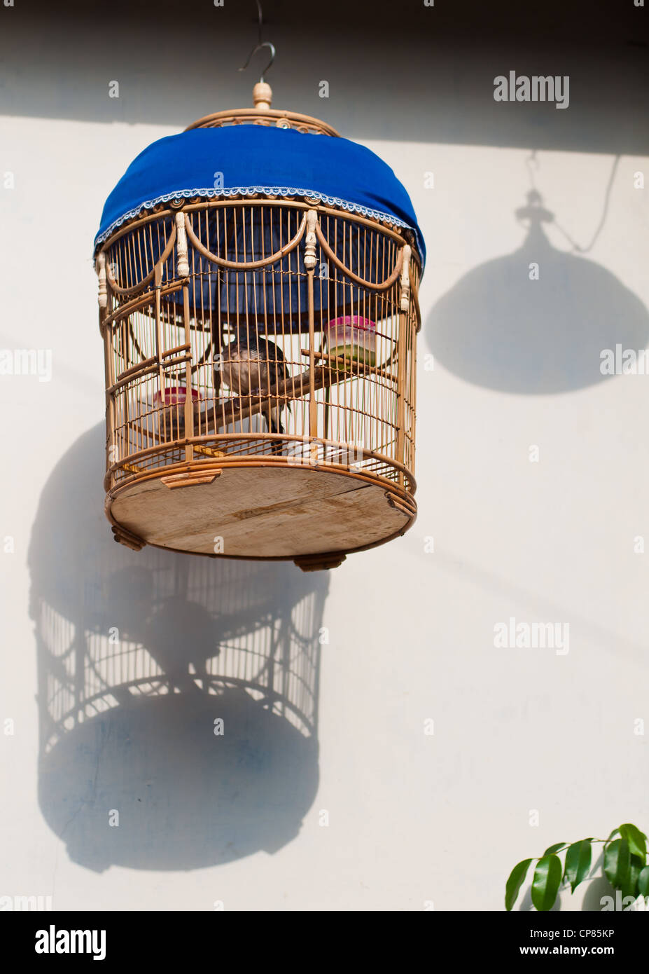 Brass Birdcage Hanging On String Over Stock Photo 12114193
