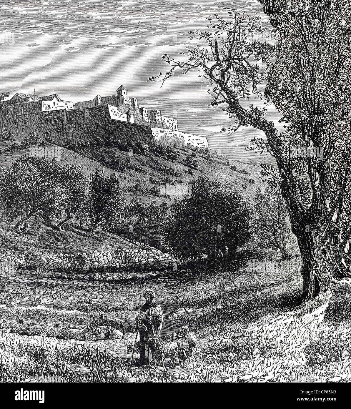 Cityscape of Bethlehem, West Bank, Palestinian autonomy area, historic engraving from 19th Century, Stadtansicht von Bethlehem, Stock Photo