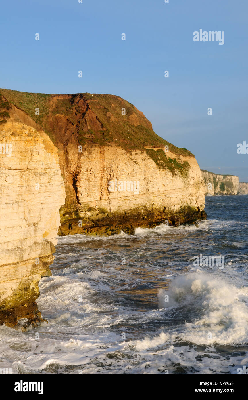 Bempton Cliffs Flamborough Yorkshire England Stock Photo - Alamy