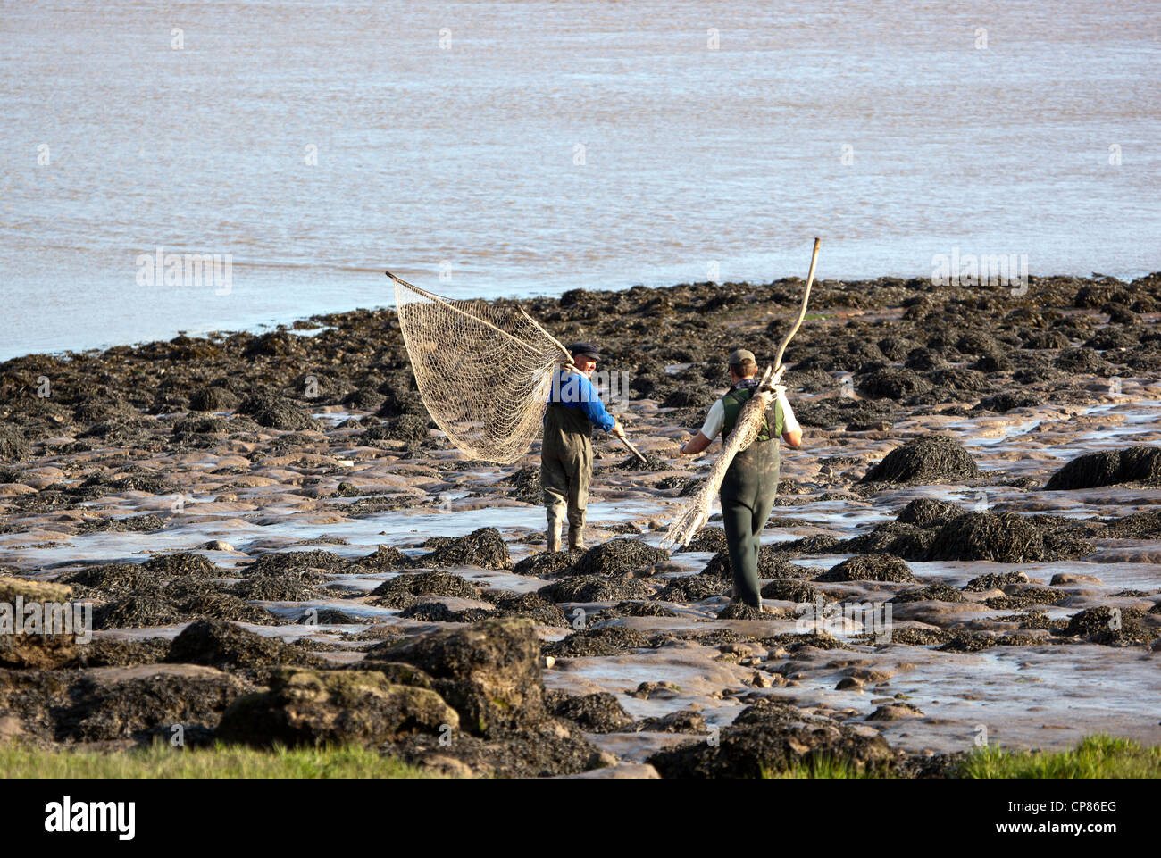 Lave Net Fishermen Severn Estuary Wales Stock Photo Alamy