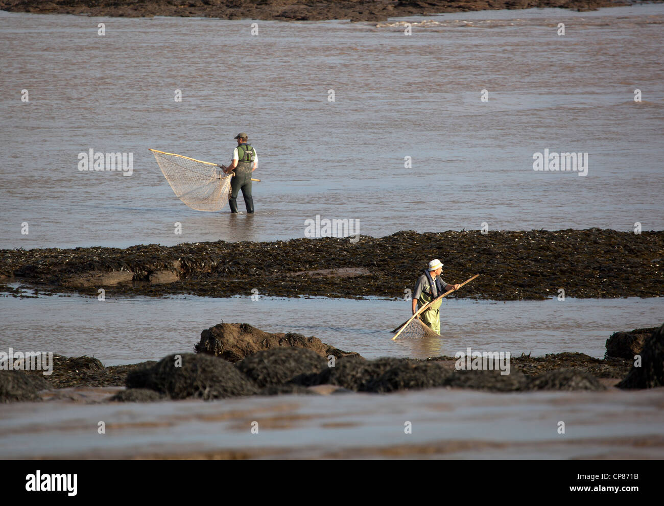 Lave Net Fishermen Severn Estuary Wales Stock Photo