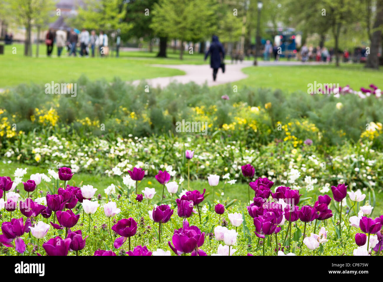 Spring flowers in Christ's Pieces, Cambridge, England. Stock Photo