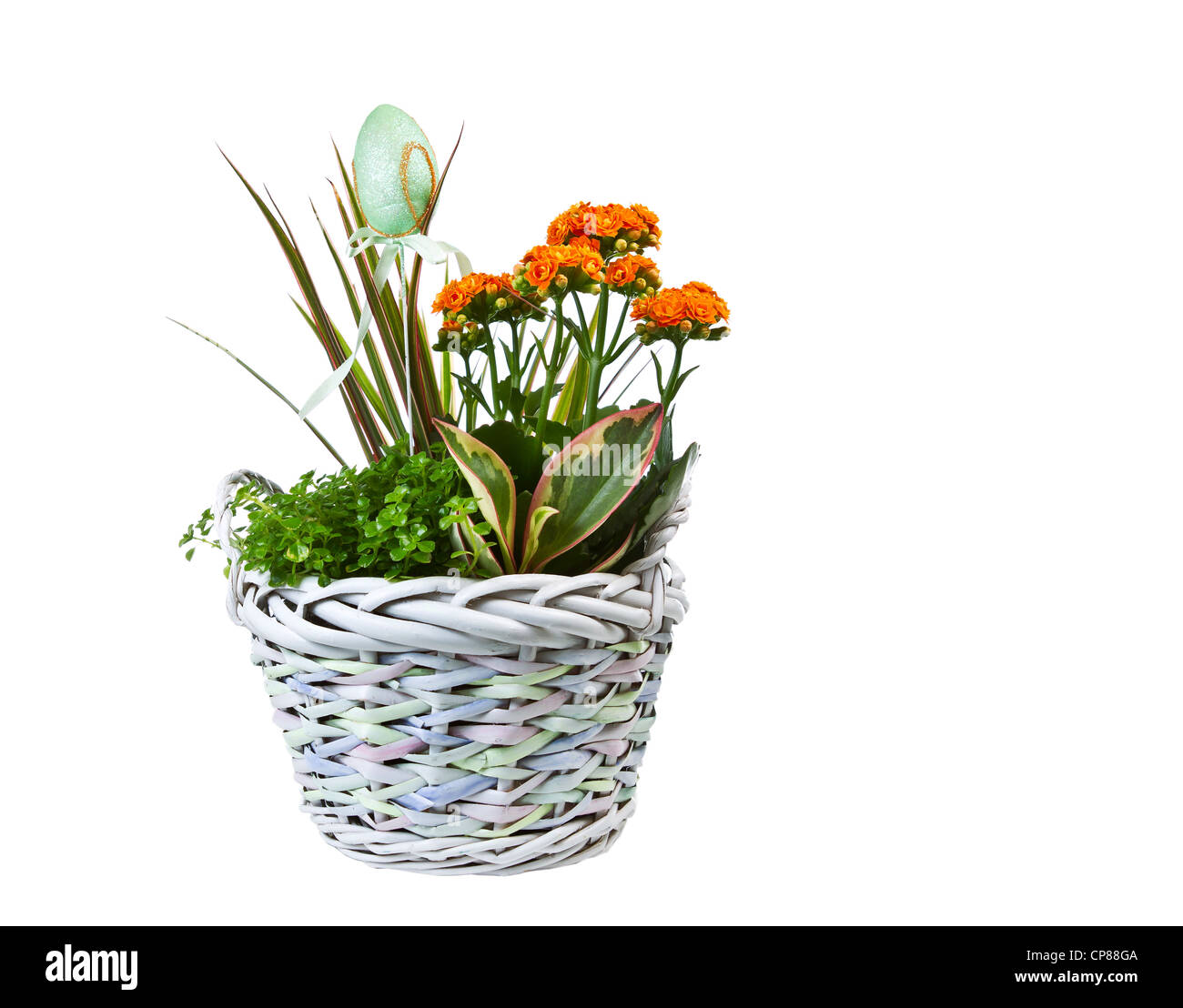 Easter basket with flowers and single egg on pure white background Stock Photo