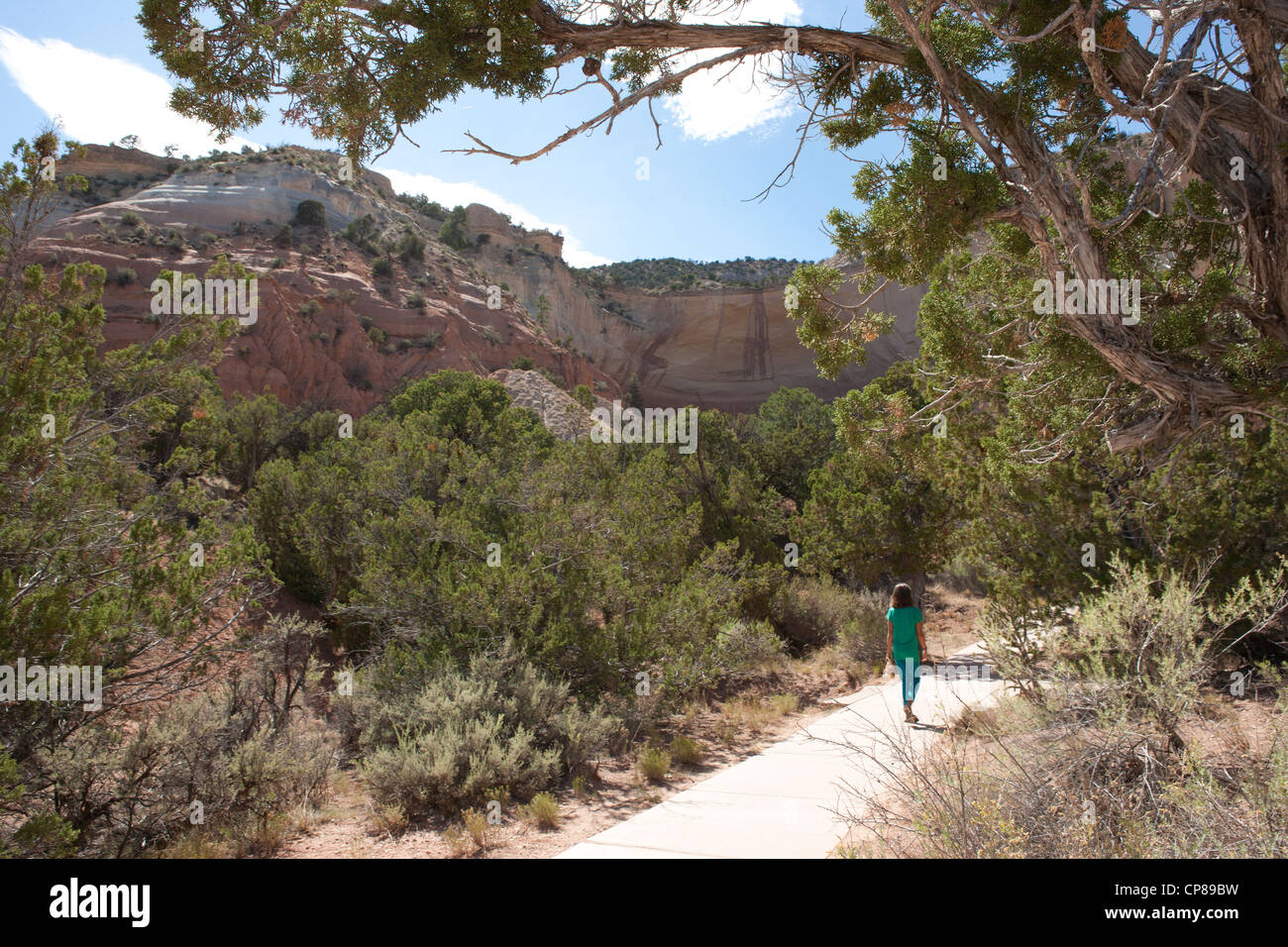 Child taking a walk near a canyon in Southern Colorado. Stock Photo