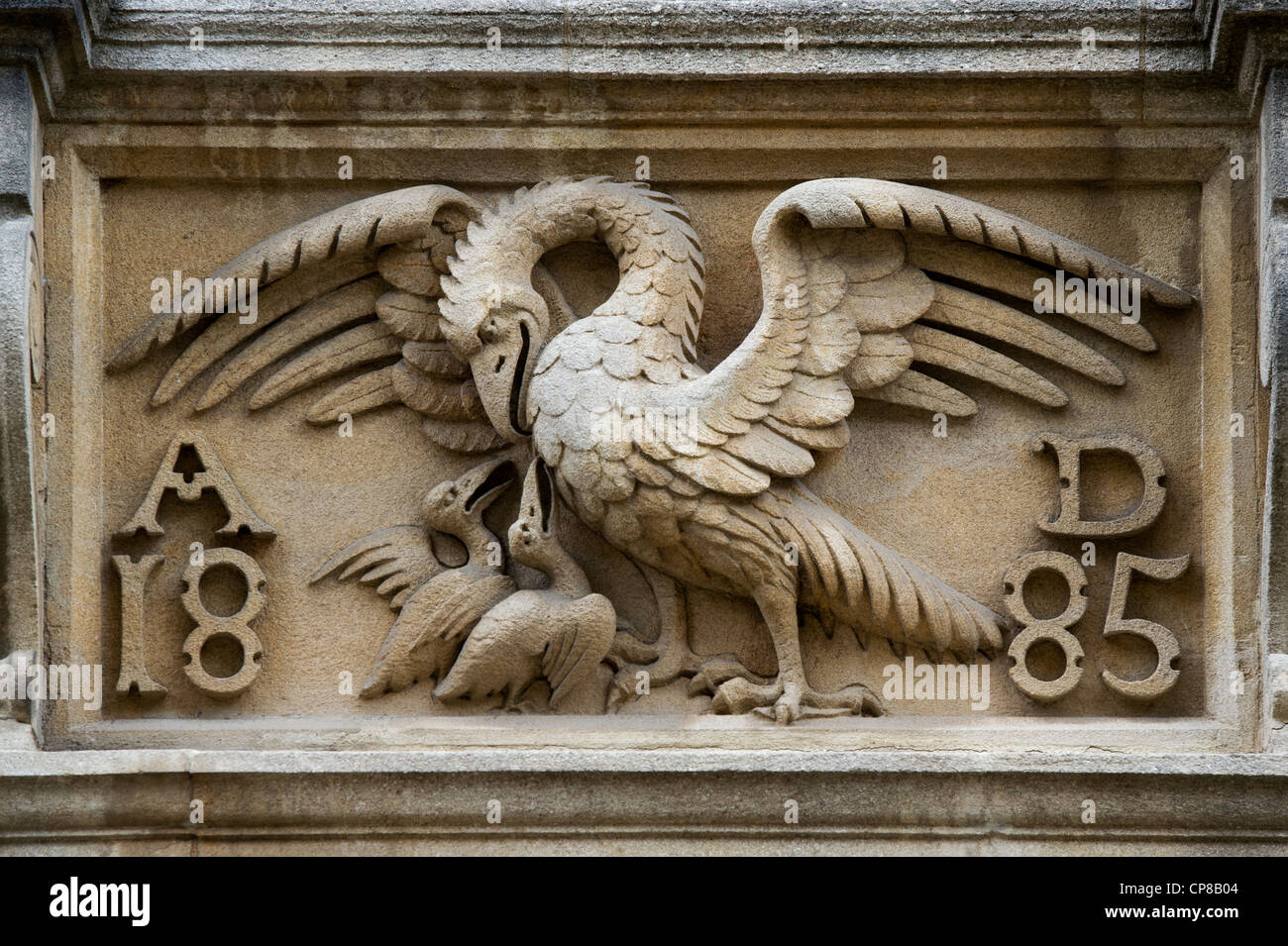 Stone bird with chicks carving, Merton Street, Oxford, Oxfordshire, England Stock Photo