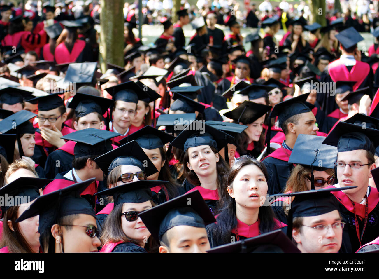 Harvard University Students