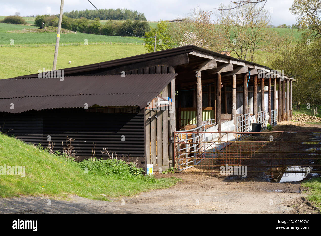 Livestock pens on a farm in Shropshire Stock Photo - Alamy