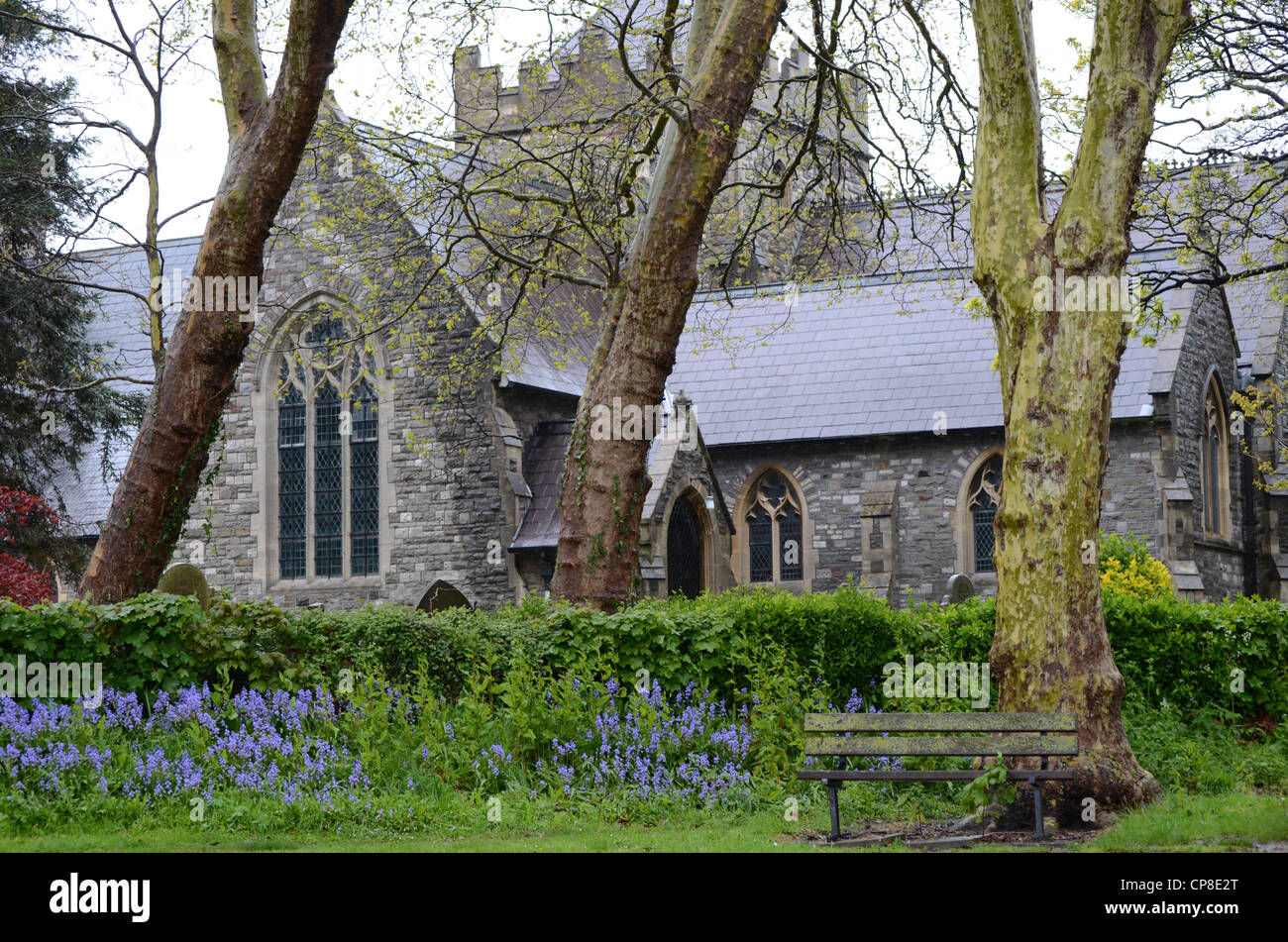 Bluebells outside Horfield Baptist Church, Bristol, Uk Stock Photo