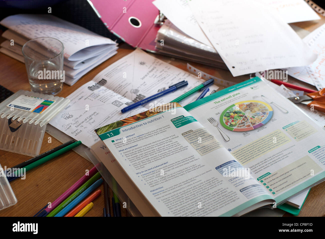 Child's GCSE food technology revision books and notes Stock Photo