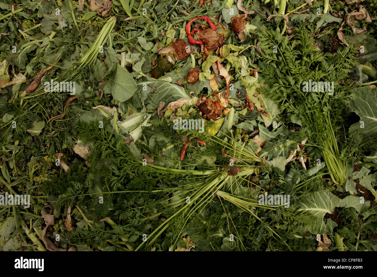 Composting vegetable matter in a garden Stock Photo Alamy