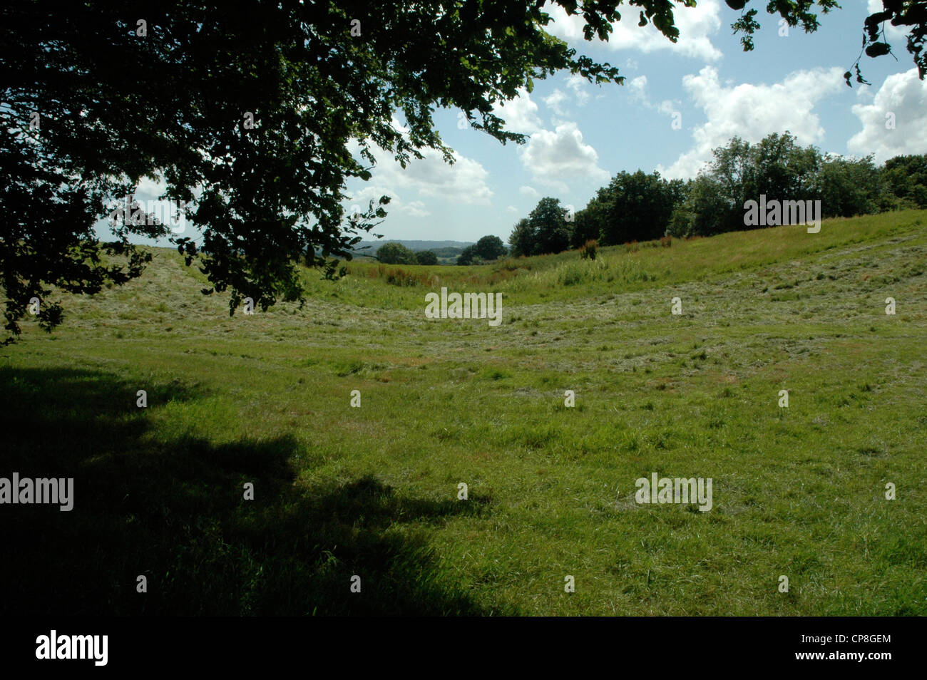Sussex countryside on a sunny day Stock Photo - Alamy