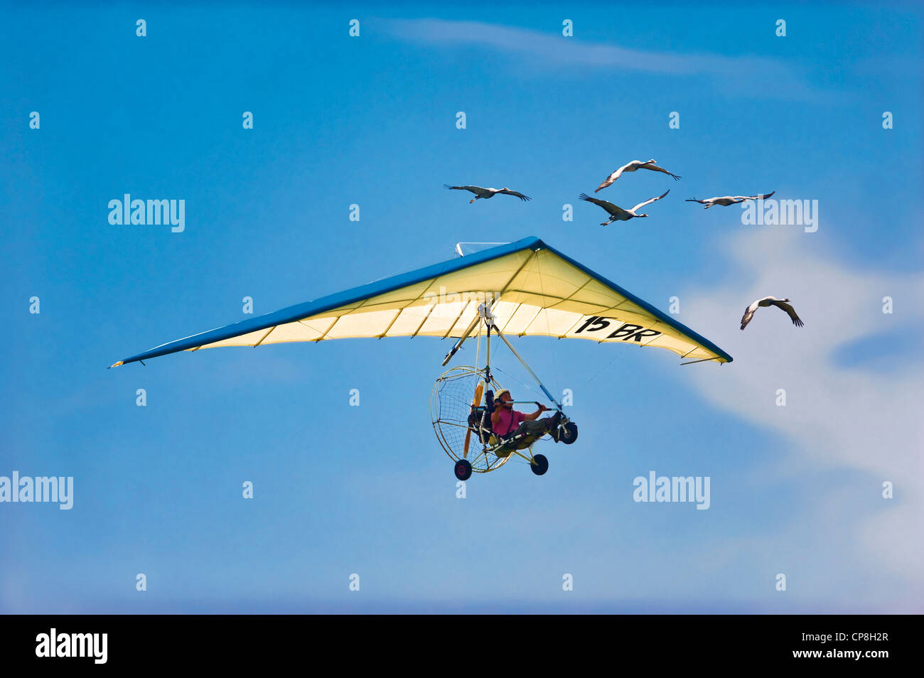 Europe Italy Piedmont Turin, The Word Air games 2009 gliding with geese Stock Photo