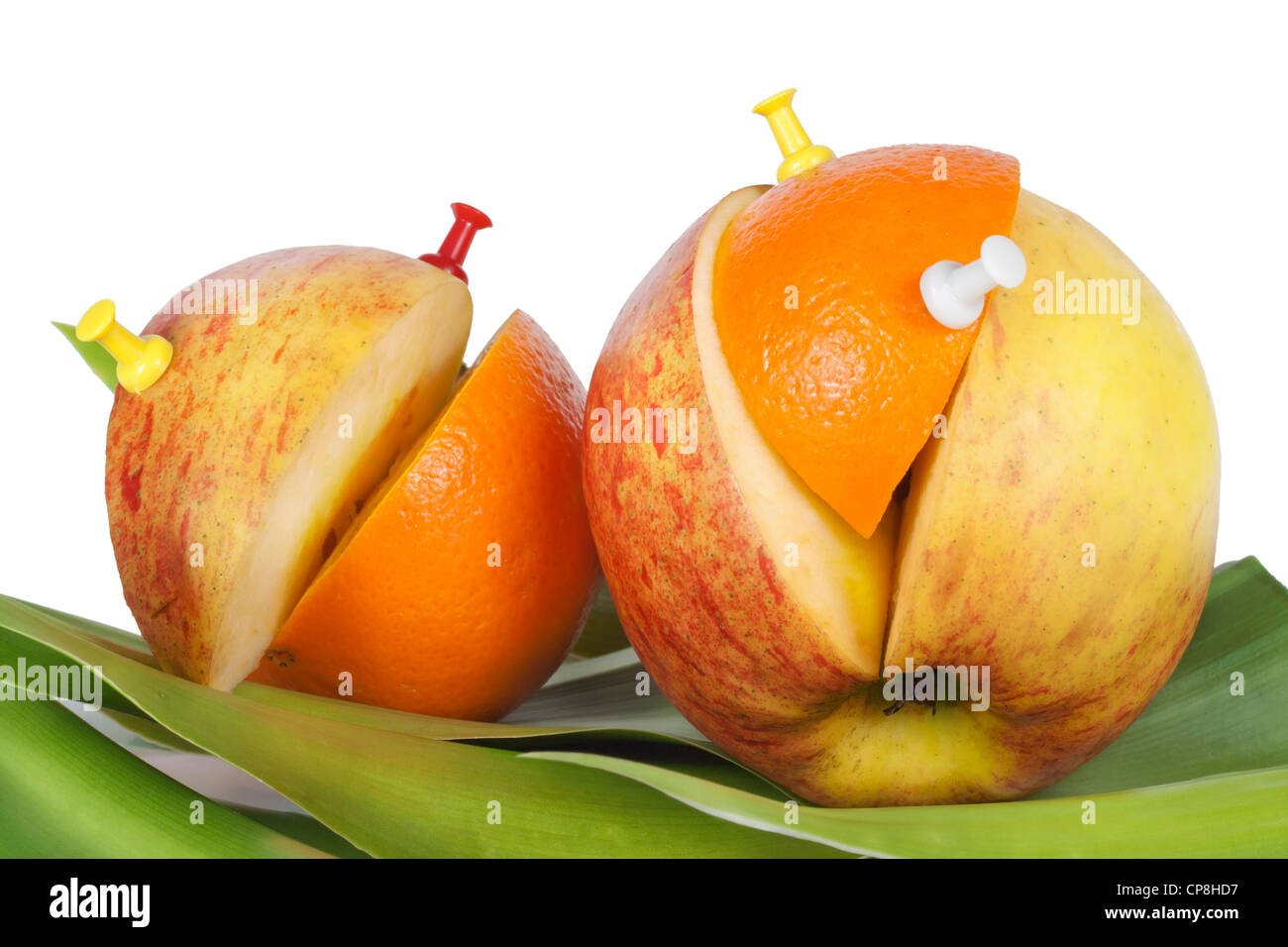 Orange and apple with the cut off parts. Transplantation humour concept Stock Photo