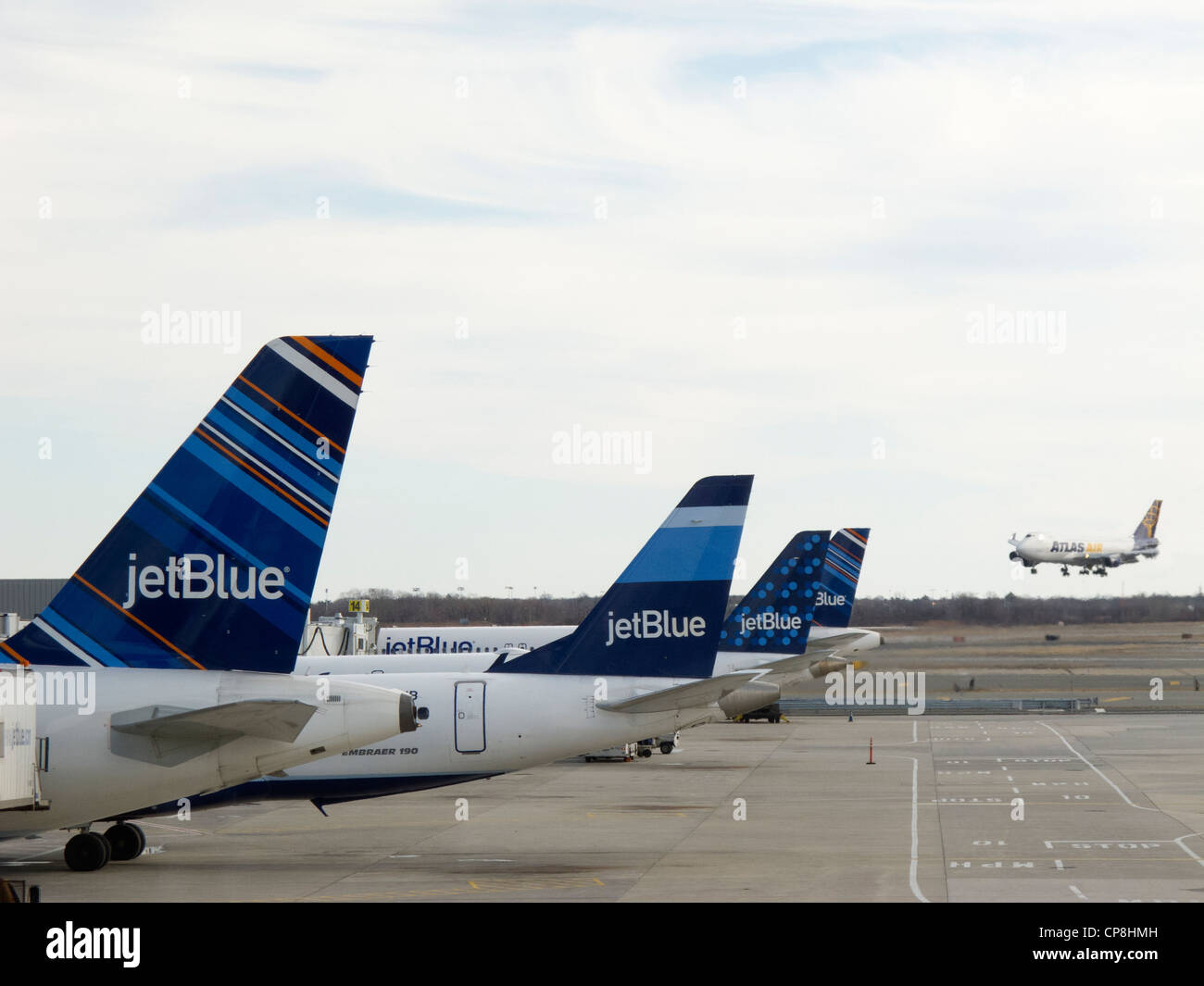 JetBlue fleet on tarmac. Stock Photo