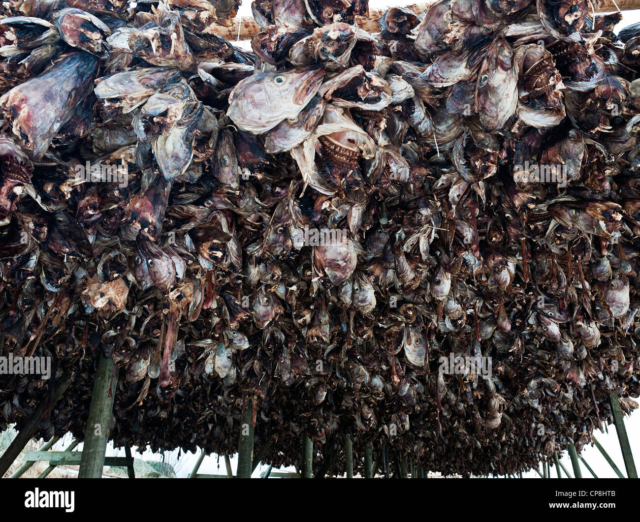 Hanging from racks hi-res stock photography and images - Alamy