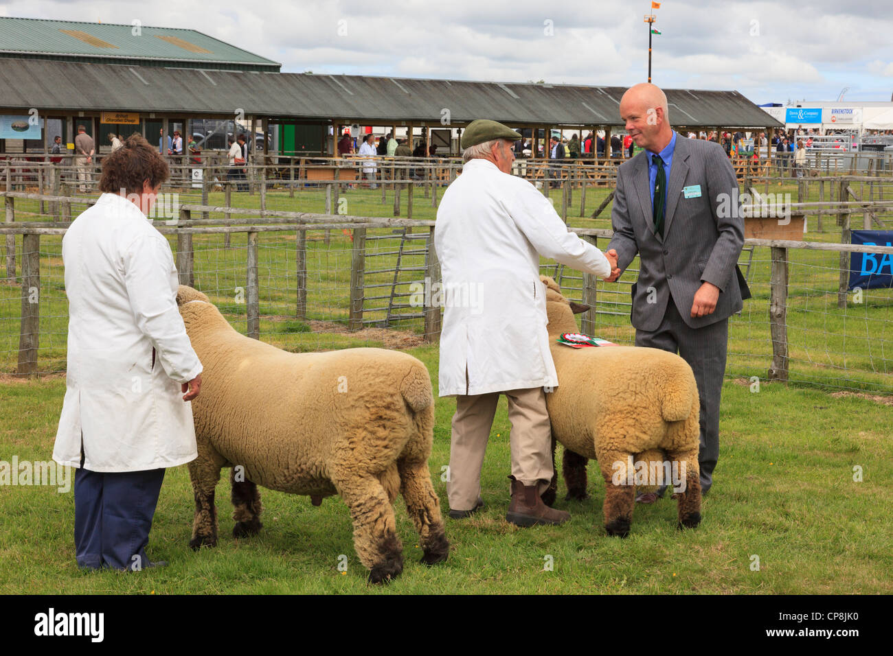 Judge congratulating winner of the Oxford Down Champion male sheep award at Anglesey Show in the Mona showground Isle of Anglesey North Wales UK Stock Photo