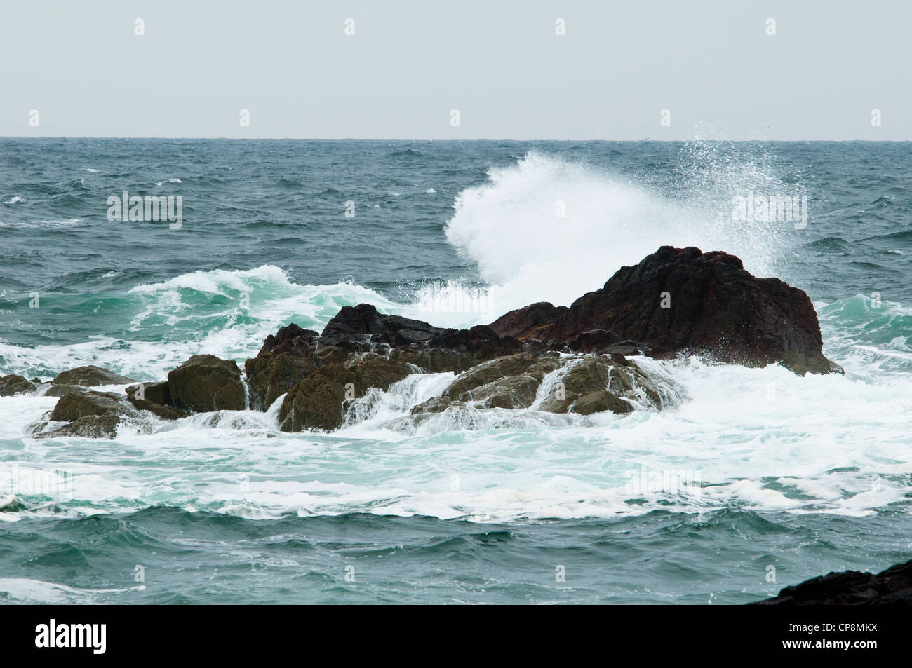 Waves crashing against rocks in the North Sea, just off St Abb's Head, Berwickshire, Scotland. June. Stock Photo