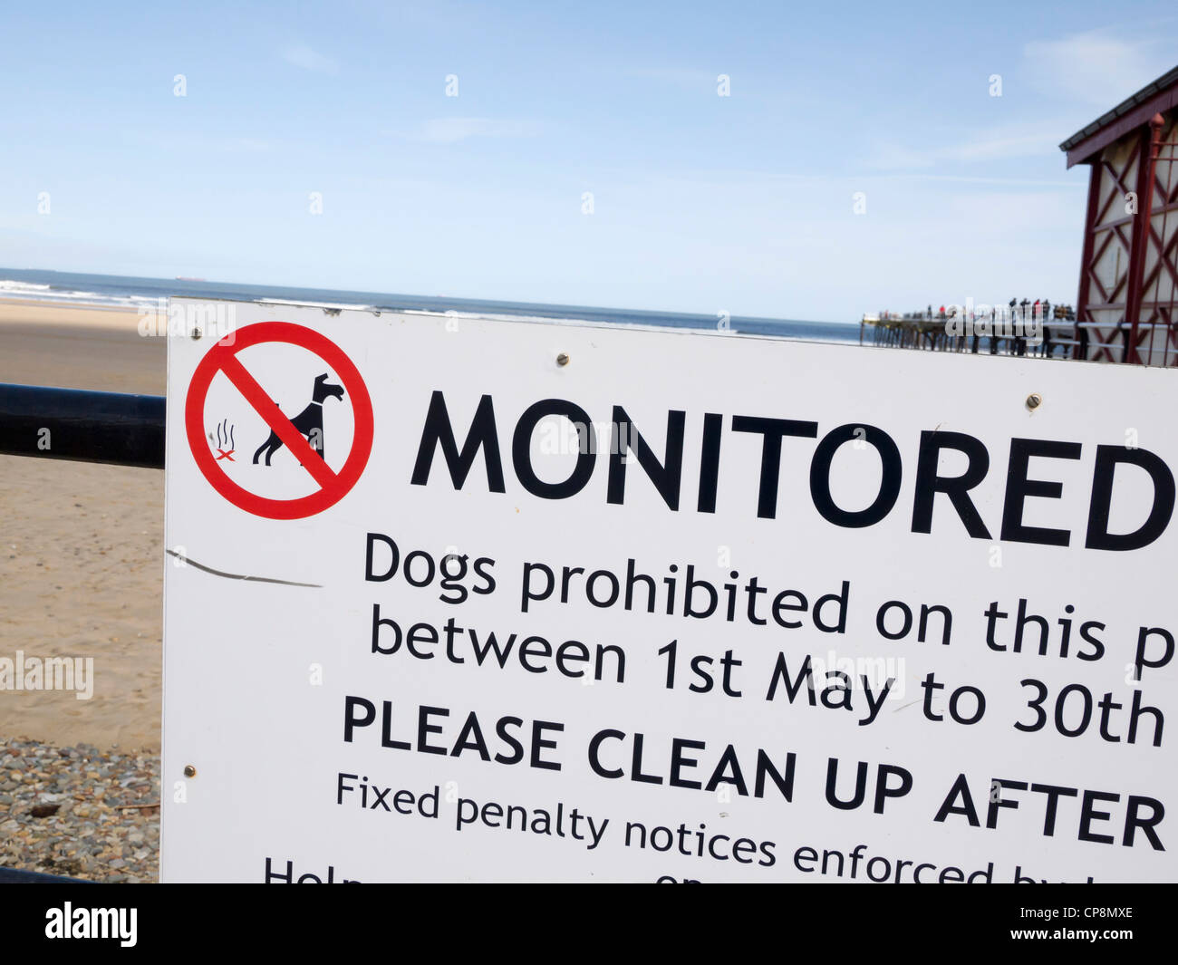 Dog control sign showing that dogs are not allowed on the Beach at