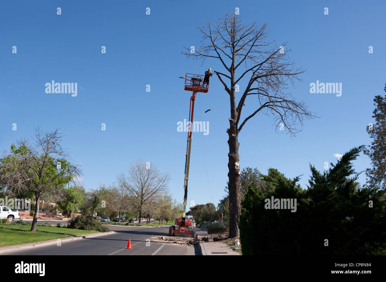 A person cutting a tree on a genie bucket lift using chainsaw on a