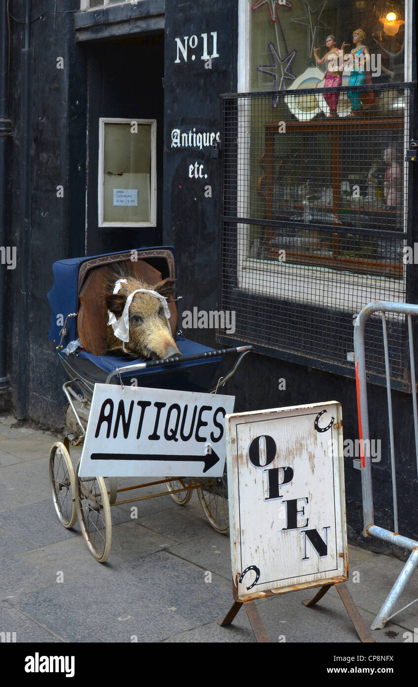 A rather odd display, including a mounted boar's head in a baby