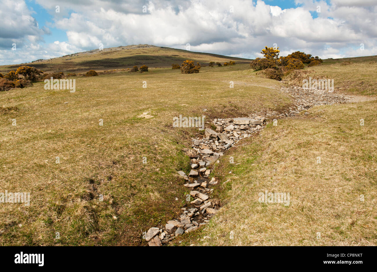 Dry stony stream bed on Dartmoor during very dry weather, Devon, UK Stock Photo