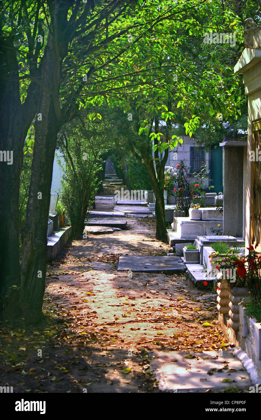 Garden path in cemetery with overhanging trees and fallen leaves on path amongst the tombs and grave markers. Stock Photo