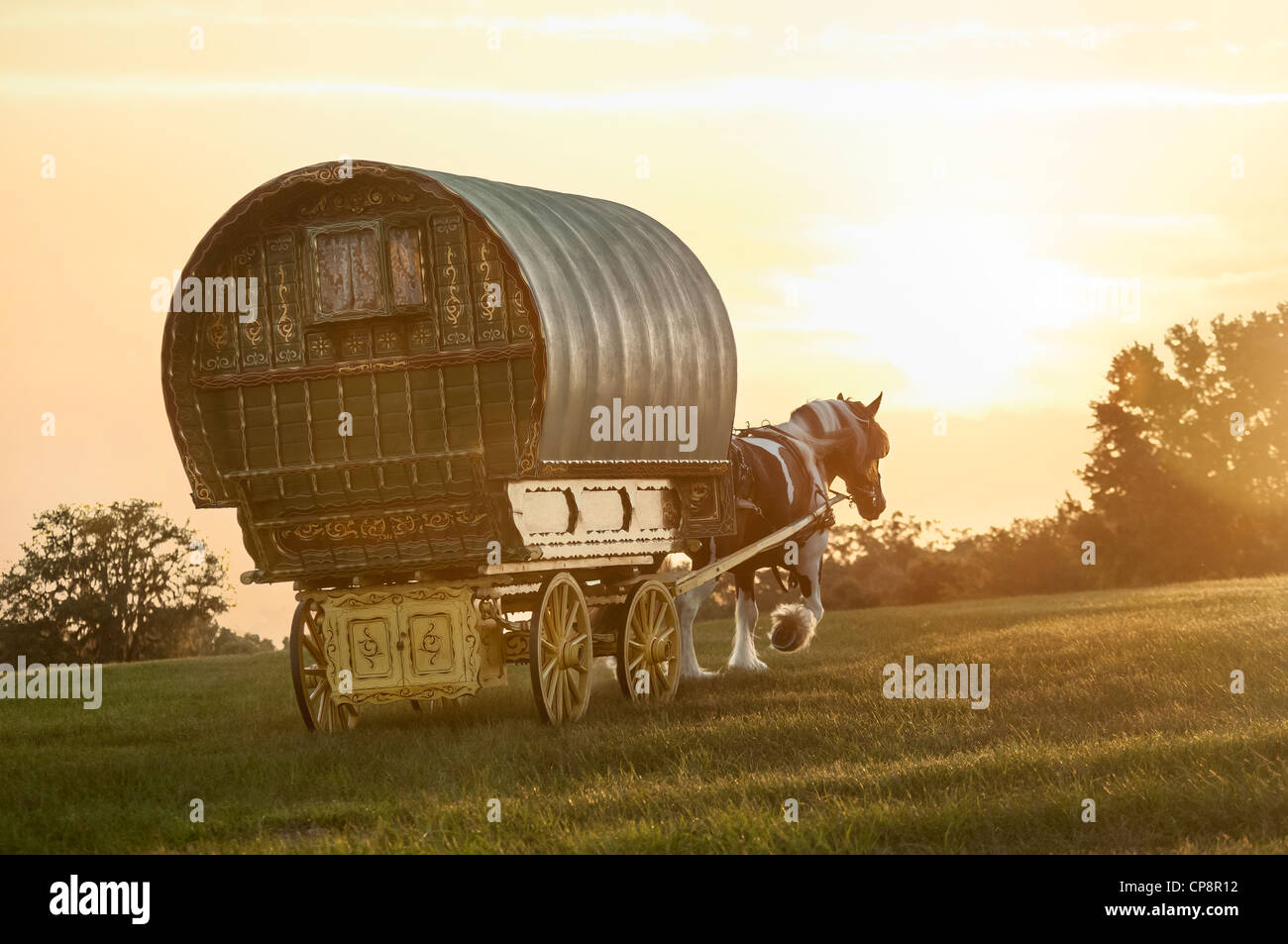 Gypsy Vanner Horse pulling Gypsy caravan or vardo up hillside Stock Photo