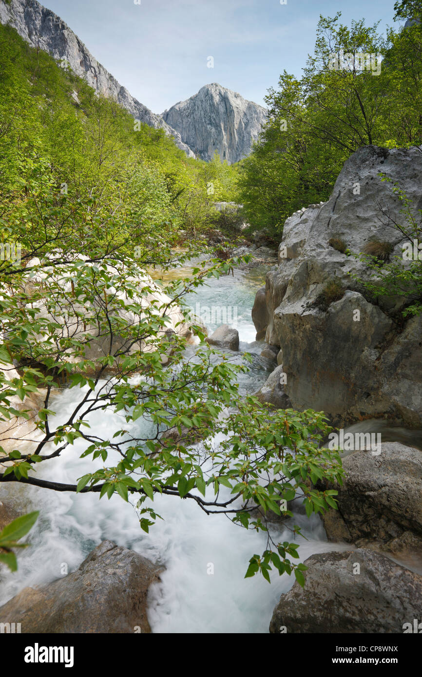 National park Paklenica. Stock Photo