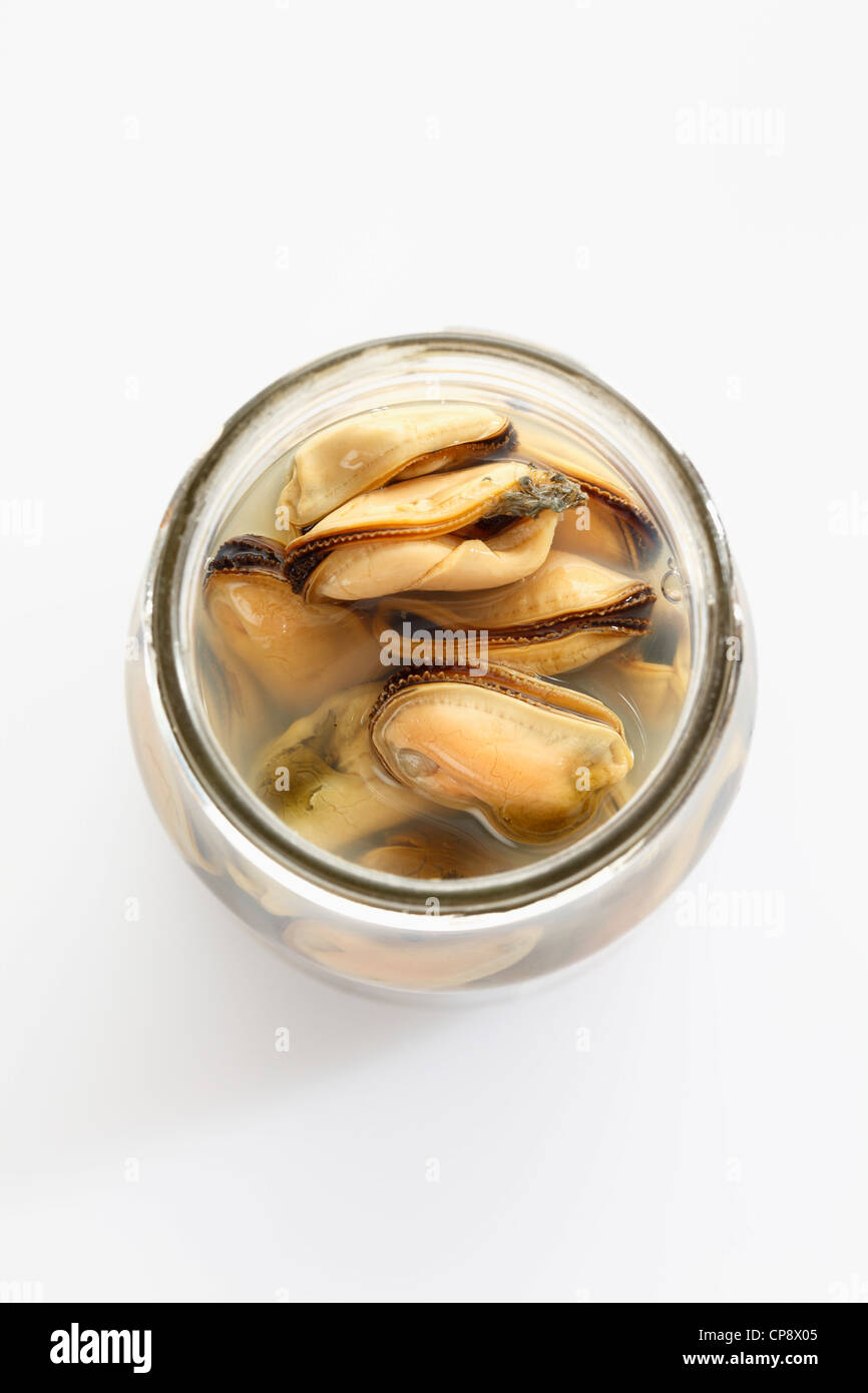 Preserved mussels in glass jar on white background Stock Photo Alamy