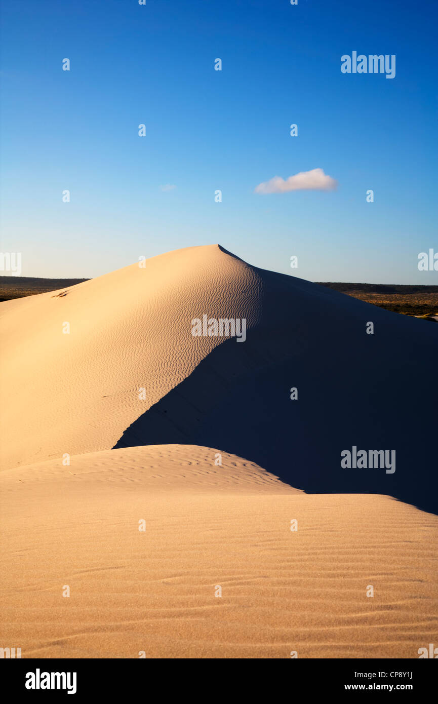 Stunning white sand dune at Eucla, glowing with golden light at sunset. Eucla is the half way point on the Nullarbor Plain Stock Photo