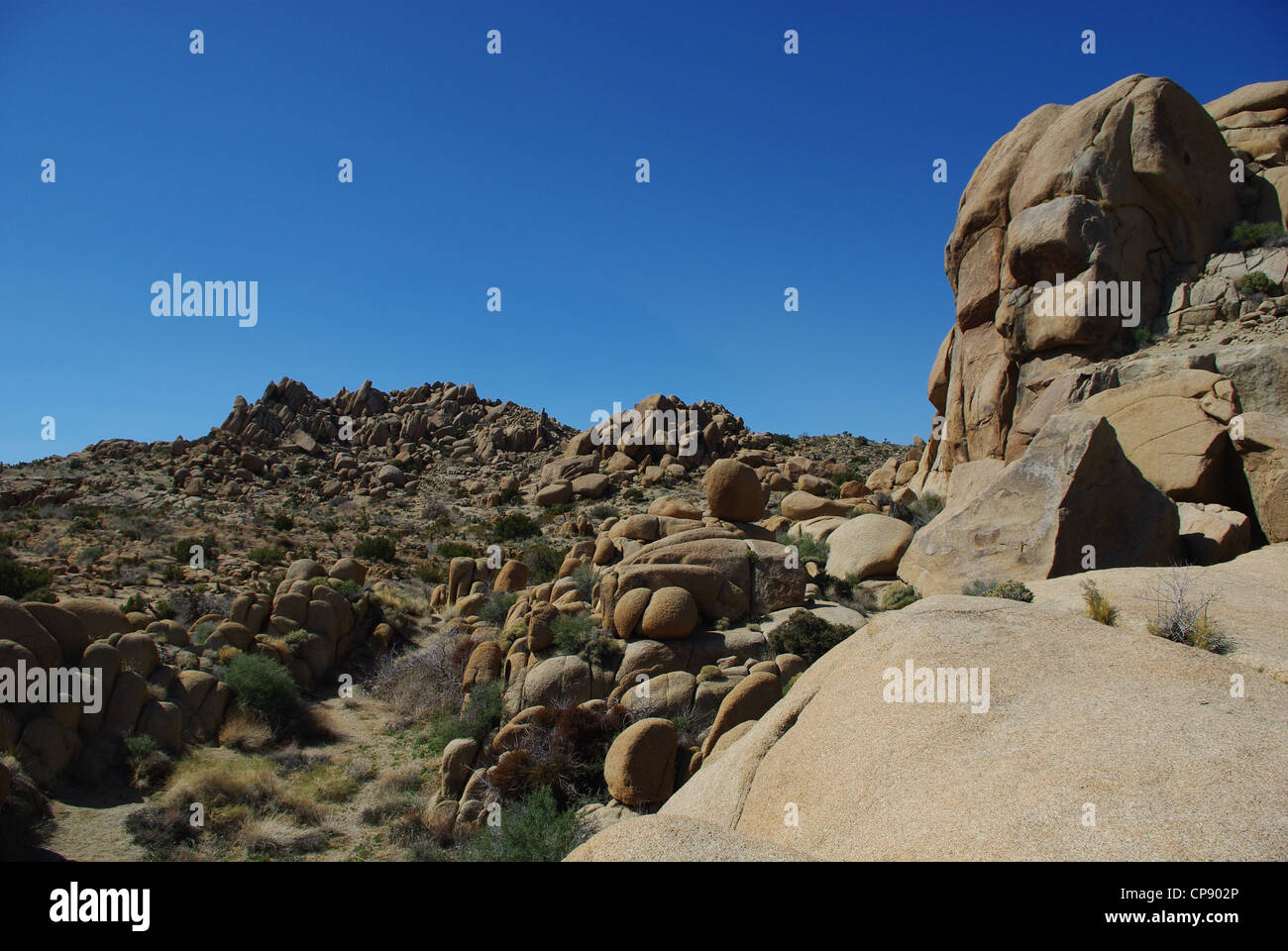 Beautiful Rocks, Joshua Tree National Park, California Stock Photo - Alamy